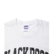 画像3: ROTTWEILER/PIGMENT B.D TEE（WHITE） 【30%OFF】［プリントT-24春夏］ (3)