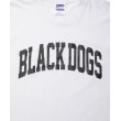 画像4: ROTTWEILER/PIGMENT B.D TEE（WHITE） 【30%OFF】［プリントT-24春夏］ (4)