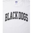 画像4: ROTTWEILER/PIGMENT B.D TEE（WHITE）［プリントT-24春夏］ (4)