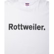 画像4: ROTTWEILER/PIGMENT CLASSIC TEE（WHITE） 【30%OFF】［プリントT-24春夏］ (4)
