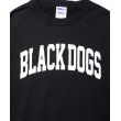 画像4: ROTTWEILER/B.D DAMAGE SWEATER（CHARCOAL） 【30%OFF】［ユーズド加工クルーネックスウェット-24春夏］ (4)