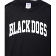 画像4: ROTTWEILER/B.D DAMAGE SWEATER（CHARCOAL）［ユーズド加工クルーネックスウェット-24春夏］ (4)