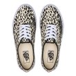 画像1: WACKO MARIA/VANS / V44 AUTHENTIC（WHITE）［オーセンティック-23秋冬］ (1)