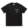 画像1: WACKO MARIA/HIGH TIMES / T-SHIRT（BLACK）［プリントT-24春夏］ (1)