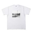 画像1: ROTTWEILER/PIGMENT PHOTO TEE（WHITE）［プリントT-24春夏］ (1)