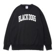 画像1: ROTTWEILER/B.D DAMAGE SWEATER（CHARCOAL）［ユーズド加工クルーネックスウェット-24春夏］ (1)