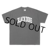 画像: ROTTWEILER/PIGMENT B.D TEE（CHARCOAL）［プリントT-24春夏］