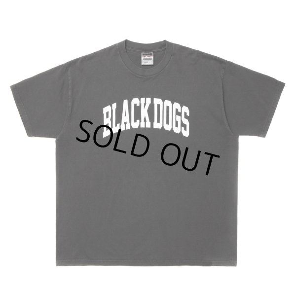 画像1: ROTTWEILER/PIGMENT B.D TEE（CHARCOAL）［プリントT-24春夏］ (1)