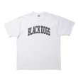 画像1: ROTTWEILER/PIGMENT B.D TEE（WHITE） 【30%OFF】［プリントT-24春夏］ (1)