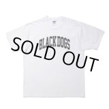 画像: ROTTWEILER/PIGMENT B.D TEE（WHITE） 【30%OFF】［プリントT-24春夏］