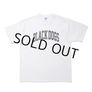 画像: ROTTWEILER/PIGMENT B.D TEE（WHITE） 【30%OFF】［プリントT-24春夏］
