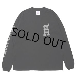 画像: ROTTWEILER/DOG LOGO LS TEE（BLACK）［プリント長袖T-24秋冬］