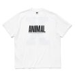画像1: 【30%OFF】RATS/ANIMAL X TEE（WHITE）［プリントT-24春夏］ (1)
