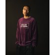 画像2: 【30%OFF】TIGHTBOOTH/PEOPLE HATE SKATE VELOUR L/S（Navy）［ベロア長袖-24秋冬］ (2)