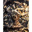 画像13: 【20%OFF】TIGHTBOOTH/3 LAYER BALLOON PANTS（Wire Camo）［3レイヤーバルーンパンツ-24秋冬］ (13)