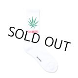 画像: WACKO MARIA/HIGH TIMES / JACQUARD SOCKS（WHITE）［ジャガードソックス-24秋冬］