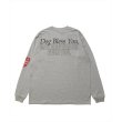 画像2: ROTTWEILER/DOG PHOTO LS TEE（GRAY）［プリント長袖T-25春夏］ (2)