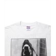 画像3: ROTTWEILER/DOG PHOTO TEE（WHITE）［プリントT-25春夏］ (3)