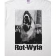 画像4: ROTTWEILER/DOG PHOTO TEE（WHITE）［プリントT-25春夏］ (4)