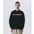 画像6: 【30%OFF】ROTTWEILER/R9 LOGO LS TEE（BLACK）［オリジナル長袖T-25春夏］ (6)