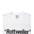 画像4: ROTTWEILER/RW TEE（WHITE）［プリントT-25春夏］ (4)