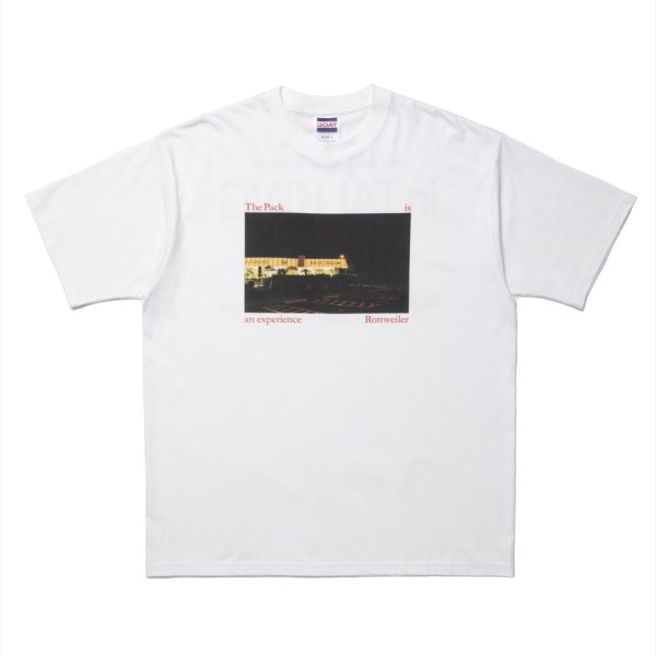 画像1: ROTTWEILER/CAL NIGHT PHOTO TEE（WHITE）［プリントT-25春夏］ (1)