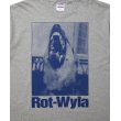 画像4: ROTTWEILER/DOG PHOTO TEE（GRAY）［プリントT-25春夏］ (4)