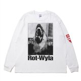 画像: ROTTWEILER/DOG PHOTO LS TEE（WHITE）［プリント長袖T-25春夏］