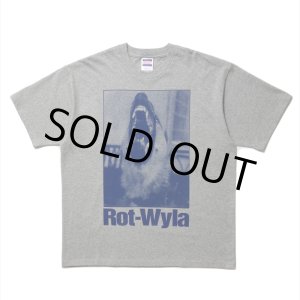 画像: ROTTWEILER/DOG PHOTO TEE（GRAY）［プリントT-25春夏］