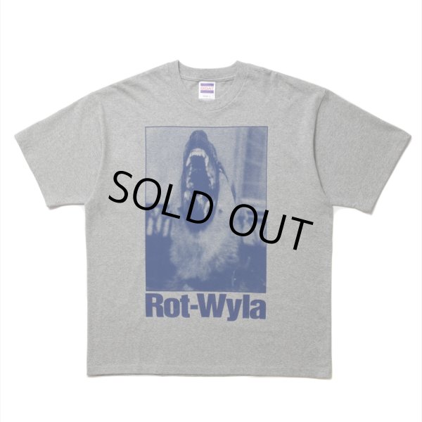 画像1: ROTTWEILER/DOG PHOTO TEE（GRAY）［プリントT-25春夏］ (1)