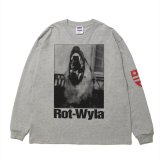 画像: ROTTWEILER/DOG PHOTO LS TEE（GRAY）［プリント長袖T-25春夏］
