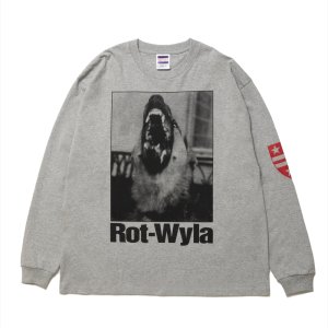 画像: ROTTWEILER/DOG PHOTO LS TEE（GRAY）［プリント長袖T-25春夏］
