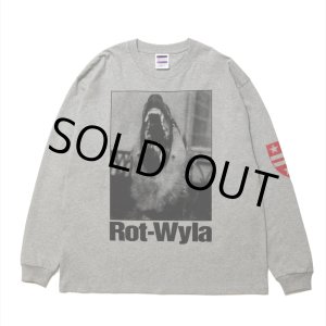 画像: 【30%OFF】ROTTWEILER/DOG PHOTO LS TEE（GRAY）［プリント長袖T-25春夏］