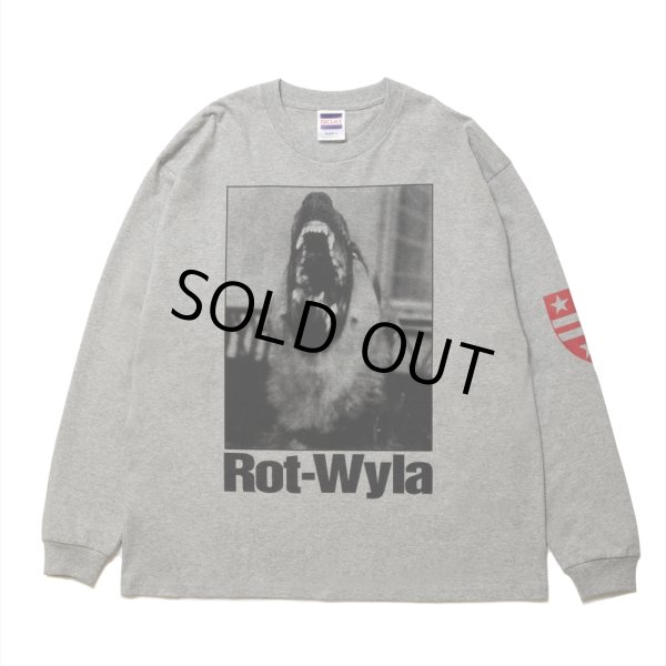 画像1: 【30%OFF】ROTTWEILER/DOG PHOTO LS TEE（GRAY）［プリント長袖T-25春夏］ (1)