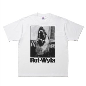 画像: ROTTWEILER/DOG PHOTO TEE（WHITE）［プリントT-25春夏］