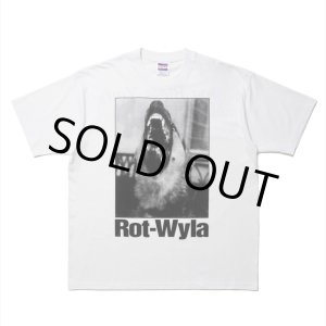 画像: ROTTWEILER/DOG PHOTO TEE（WHITE）［プリントT-25春夏］