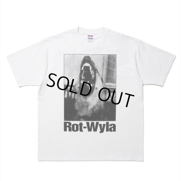 画像1: ROTTWEILER/DOG PHOTO TEE（WHITE）［プリントT-25春夏］ (1)