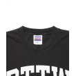 画像3: ROTTWEILER/RTTW PIGMENT TEE（CHARCOAL）［ピグメント染めプリントT-25春夏］ (3)