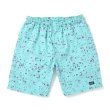 画像1: CHALLENGER/SPLATTER MARINE SHORTS（MINT）［スプラッターマリンショーツ-25春夏］ (1)