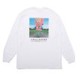 画像1: CHALLENGER/L/S FROG TEE（WHITE）［プリント長袖T-25春夏］ (1)