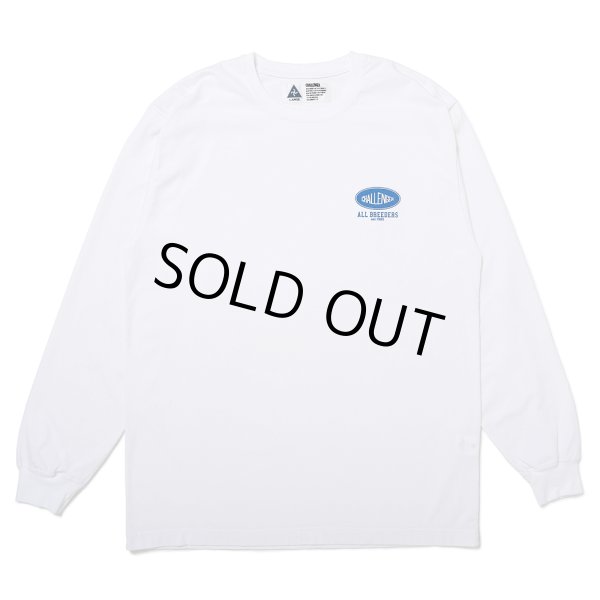 画像2: CHALLENGER/L/S ROSE BANDANA TEE（WHITE）［プリント長袖T-25春夏］ (2)