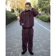 画像4: 【20%OFF】BUENA VISTA/TRAINING PANTS PYTHON（BORDEAUX）［トレーニングパンツパイソン-24秋冬］ (4)