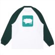 画像2: PORKCHOP/CYOW RAGLAN L/S TEE（EMERALD/GREEN）［ラグラン長袖T-25春夏］ (2)