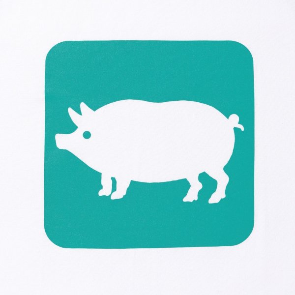 画像4: PORKCHOP/CYOW RAGLAN L/S TEE（EMERALD/GREEN）［ラグラン長袖T-25春夏］ (4)