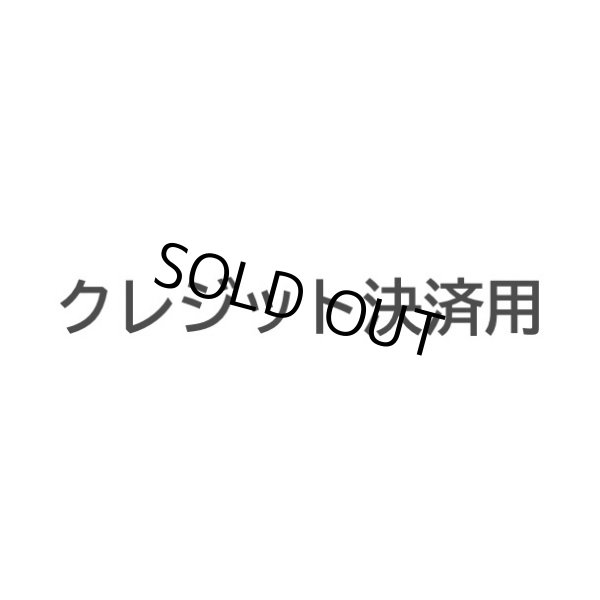 画像1: K様2点・クレジット決済用ページ (1)