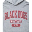 画像3: 【25秋冬ご予約受付中！25年9月入荷予定】ROTTWEILER/BD XXL PARKA（GRAY）［プルオーバーパーカー-25秋冬］ (3)