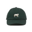 画像1: 【25秋冬ご予約受付中！25年8月入荷予定】ROTTWEILER/DAD DOG CAP（GREEN）［キャップ-25秋冬］ (1)