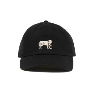 画像: ROTTWEILER/DAD DOG CAP（BLACK）［キャップ-25秋冬］