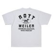 画像1: 【25秋冬ご予約受付中！25年7月入荷予定】ROTTWEILER/HORSE TEE（WHITE）［プリントT-25秋冬］ (1)