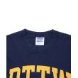 画像2: 【25秋冬ご予約受付中！25年7月入荷予定】ROTTWEILER/RTTW TEE（NAVY）［ピグメント染めプリントT-25秋冬］ (2)